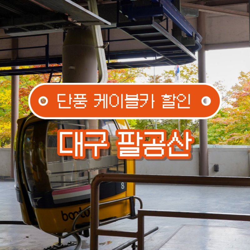 팔공산 케이블카 요금 할인 대구 단풍 여행 추천