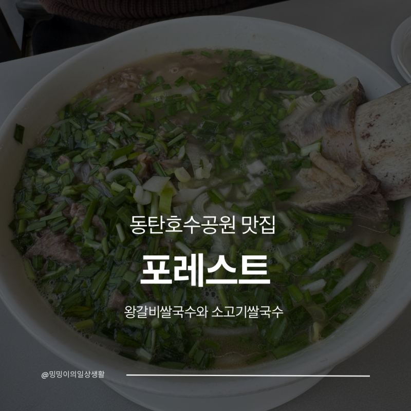 동탄호수공원 맛집 포레스트 | 왕갈비쌀국수 소고기쌀국수 내돈내산