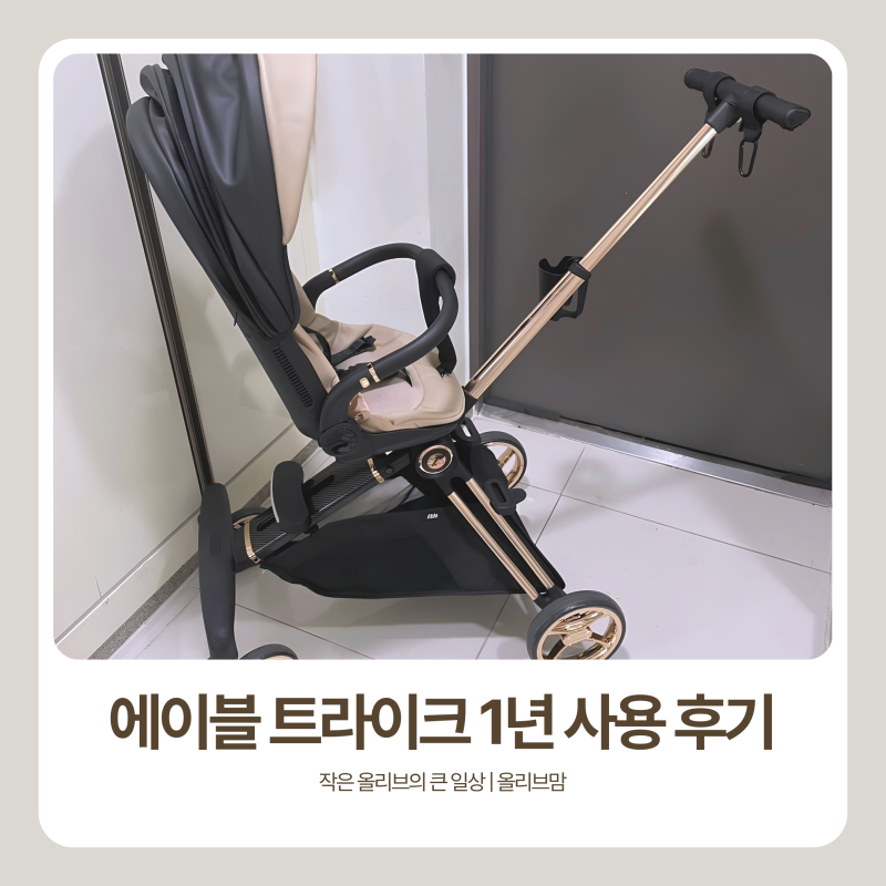 휴대용 유모차 에이블 코지샤인 트라이크 1년 사용 후기