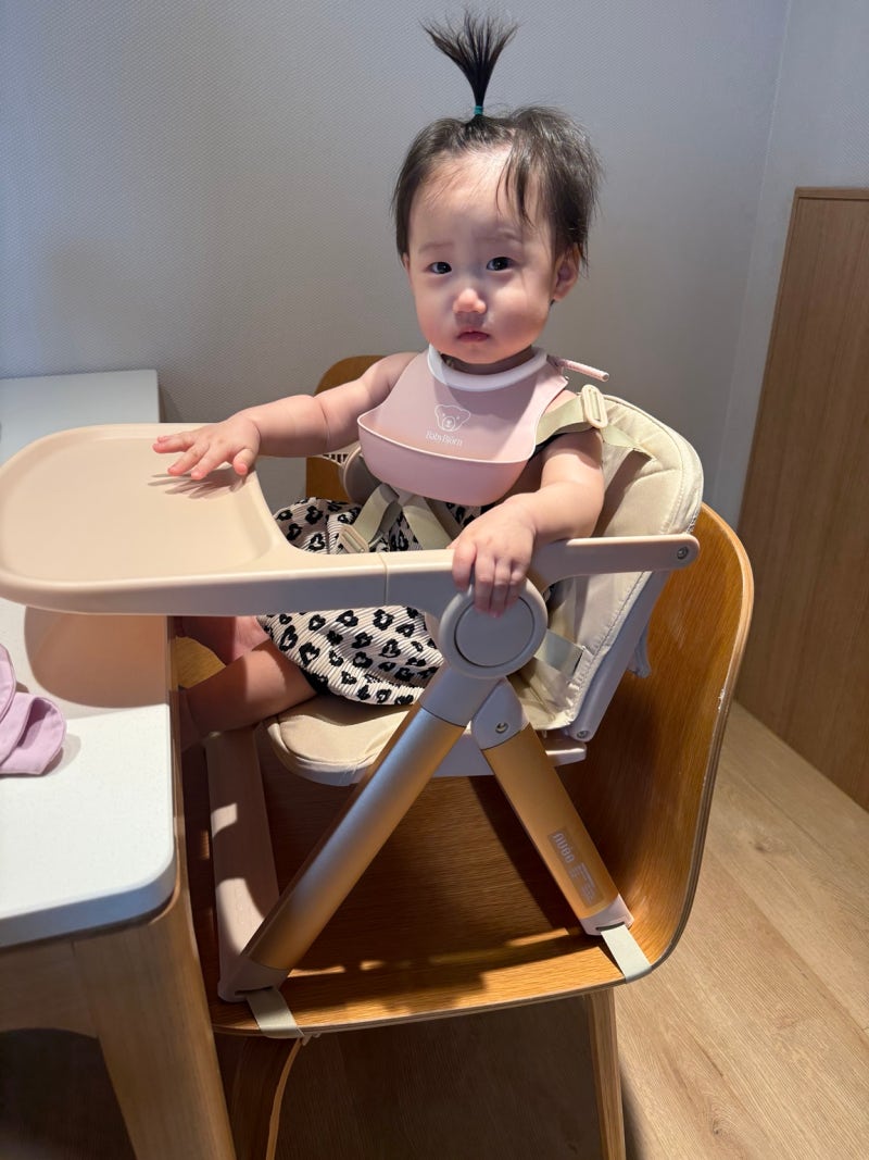 뉴이 클라우드 부스터 후기 - 10개월 아기 휴대용 아기의자, 트립트랩과 비교해보니