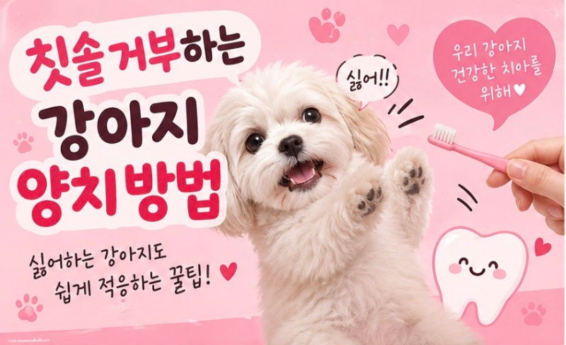 칫솔 거부하는 강아지 양치 방법｜싫어하는 강아지도 쉽게 적응하는 꿀팁