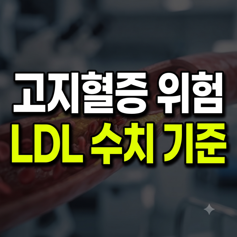 총콜레스테롤과 LDL 수치로 보는 고지혈증 진단 기준 및 관리법