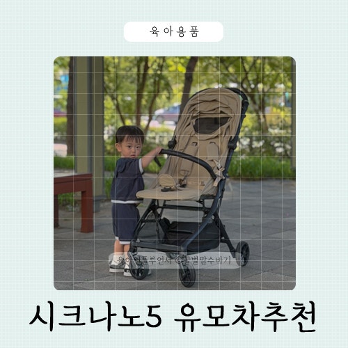 기내 반입 초경량 유모차 추천 시크 나노5, 트라이크 비교 후기 궁금하다면?