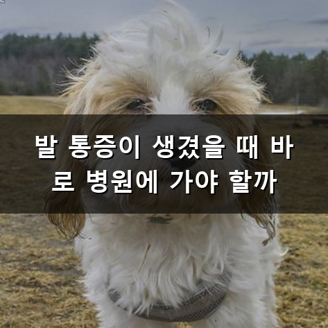 발목이 찌릿하고 찌뿌둥할 때 광주 족부 병원 어디로 가야 할까