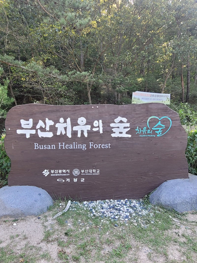 부산 치유의 숲 스포원에서 가까운 산책코스