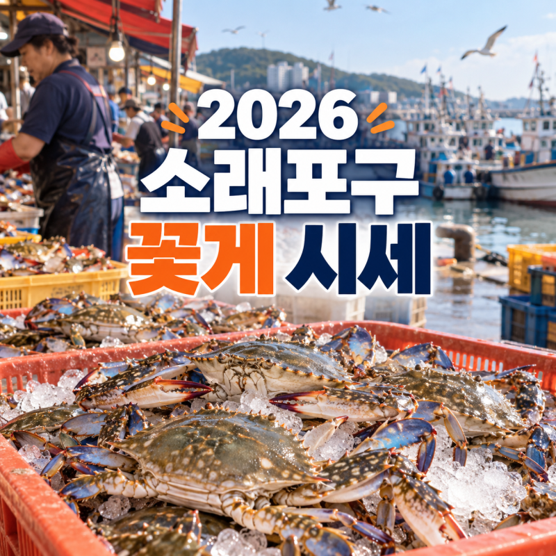 2026 소래포구 꽃게 시세｜9월 활꽃게 가격과 구매 팁