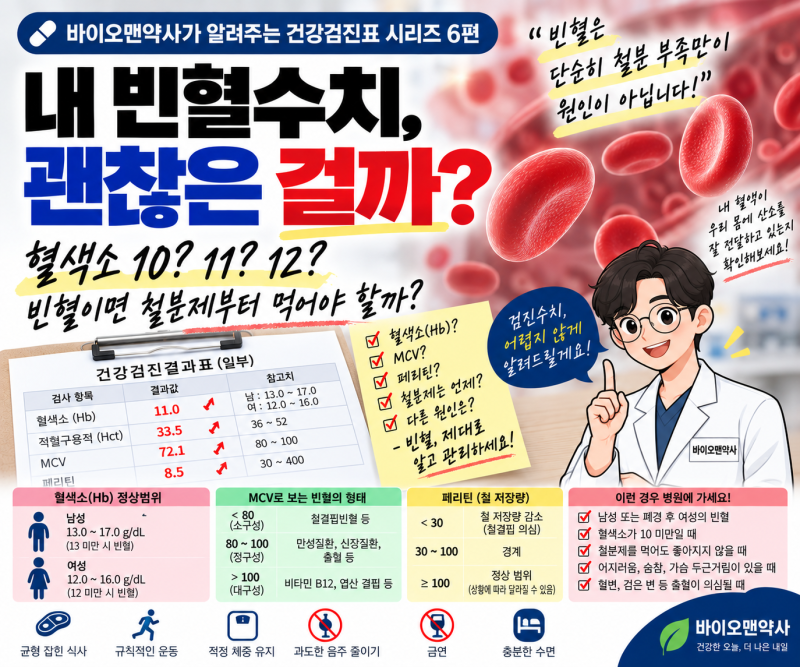 [약사 칼럼]약사가 읽어주는 건강검진표 6- 빈혈편