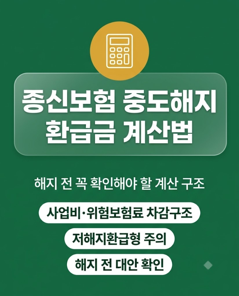종신보험 중도해지 환급금 계산법 구조와 확인 방법 총정리