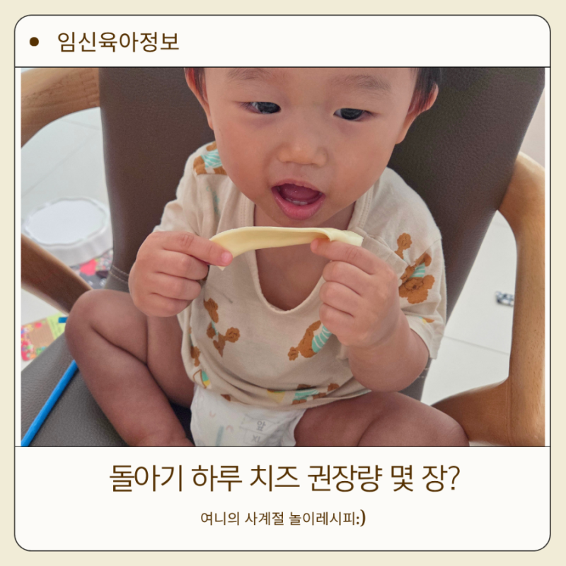 돌아기 하루 치즈 권장량 몇 장?우유 대신 유제품 먹여도 될까