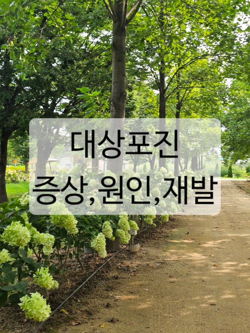대상포진 초기증상과 원인, 치료법까지 한눈에 알아보기