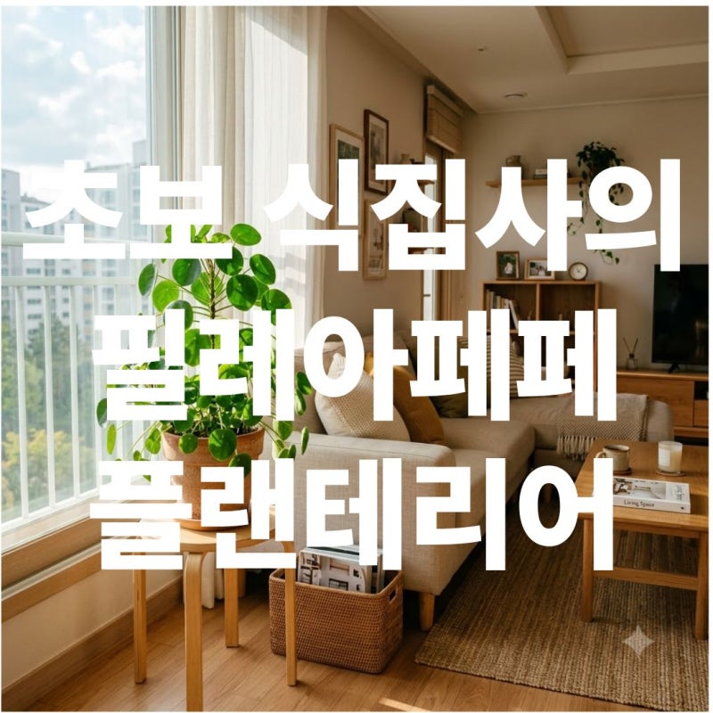 초보 집사도 쉬운 필레아페페 물주기와 예쁜 식물 인테리어 꿀팁