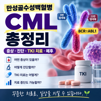 2026 만성골수성백혈병(CML) 총정리｜증상·진단·TKI 치료·예후