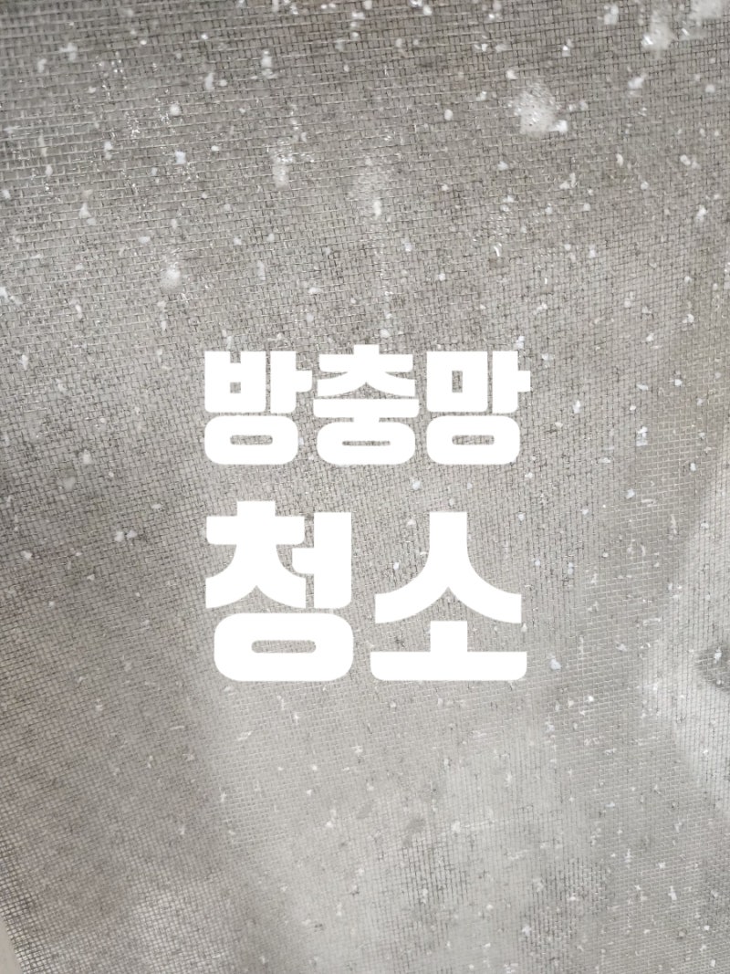 방충망 청소 교체 비용 아끼는 꿀팁! 신문지·돌돌이로 당장 닦아 쓰는 법