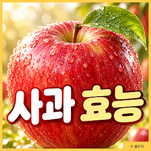 사과 효능, 껍질째 먹어도 될까? 영양성분 칼로리 먹는법 주의사항