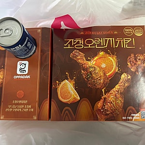 대전 도안동 치킨 추천! 오빠닭 신메뉴 '조청오렌지치킨' 내돈내산 솔직후기 및 가격