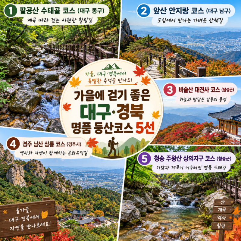 대구경북 아이와 가볼만한곳 | 9월 가족등산 코스 5곳 총정리 (팔공산·비슬산·주왕산·경주....