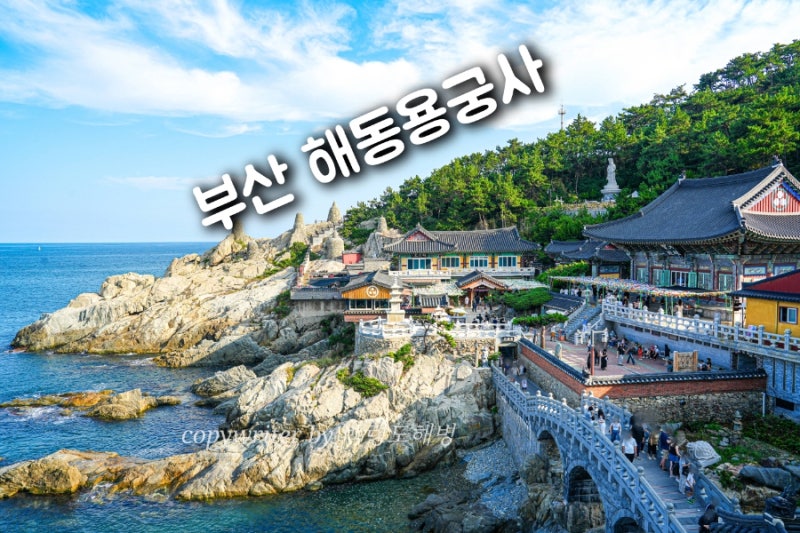 부산 기장 가볼만한곳 해동용궁사 부산 사찰 절 사진명소