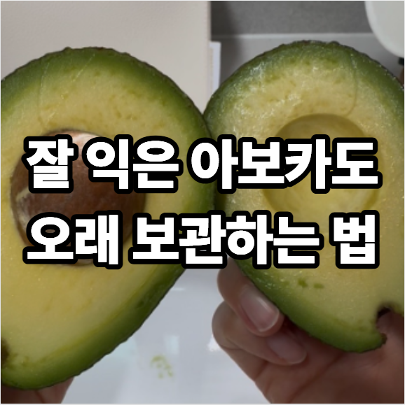 아보카도 후숙 후 냉장보관하는 법 오래 보관하는 방법
