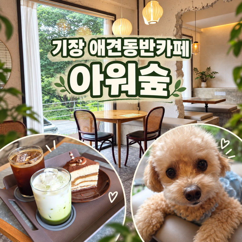 기장 애견동반카페 아워숲｜실내에서 강아지와 브런치 가능한 정관 카페