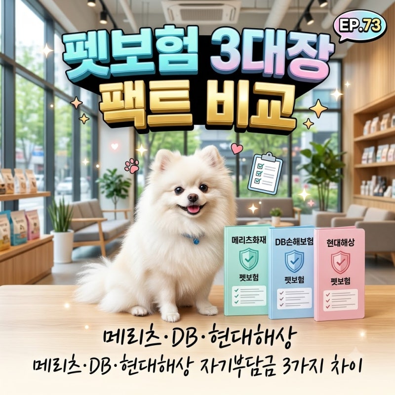 메리츠 vs DB vs 현대해상 펫보험 비교? 자기부담금과 보장 한도 3가지 팩트 체크