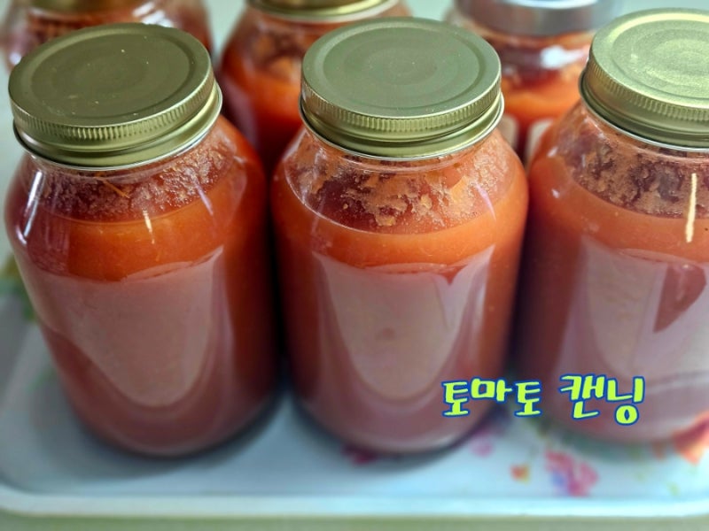 항암 토마토 1년 즐길 수 있어!! | 토마토 캔닝 방법 | 항산화 항암 200% 즐기는 법