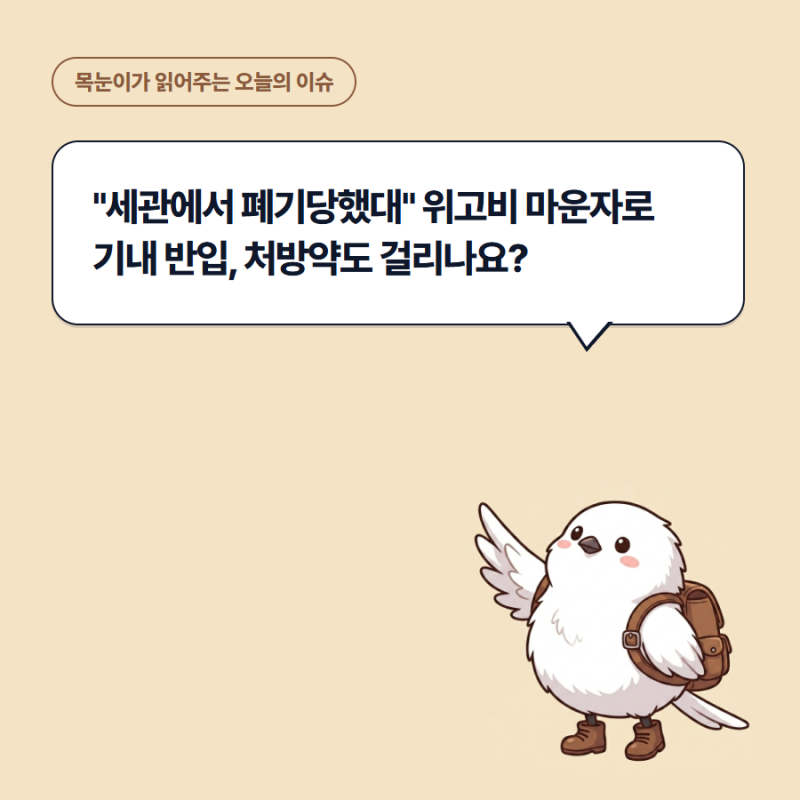 "세관에서 폐기당했대" 위고비 마운자로 기내 반입, 처방약도 걸리나요?