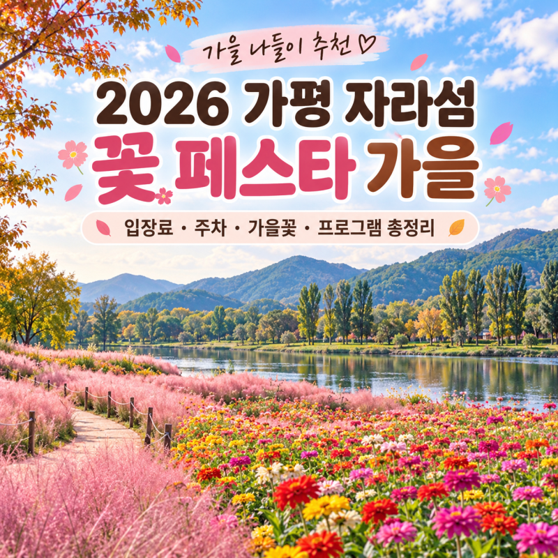 2026 가평 자라섬 꽃 페스타 가을｜입장료 주차 가을꽃 프로그램 총정리