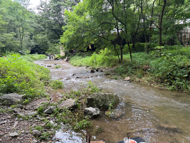 경기도 광주 I 남한산성 무료 계곡 주차, 아기랑 계곡 꿀팁