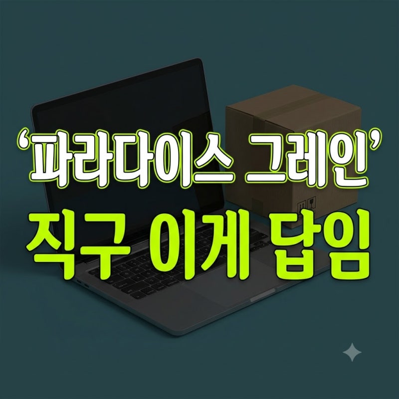 국내엔 없다? 파라다이스 그레인 해외직구 추천 브랜드 Top 3 및 할인 꿀팁