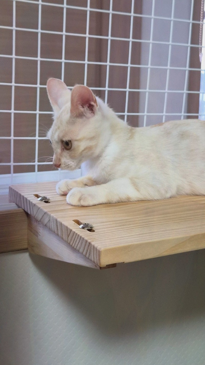 우리나무공방 고양이 창틀 선반 원목 고양이 선반, 창가맞춤 공간활용