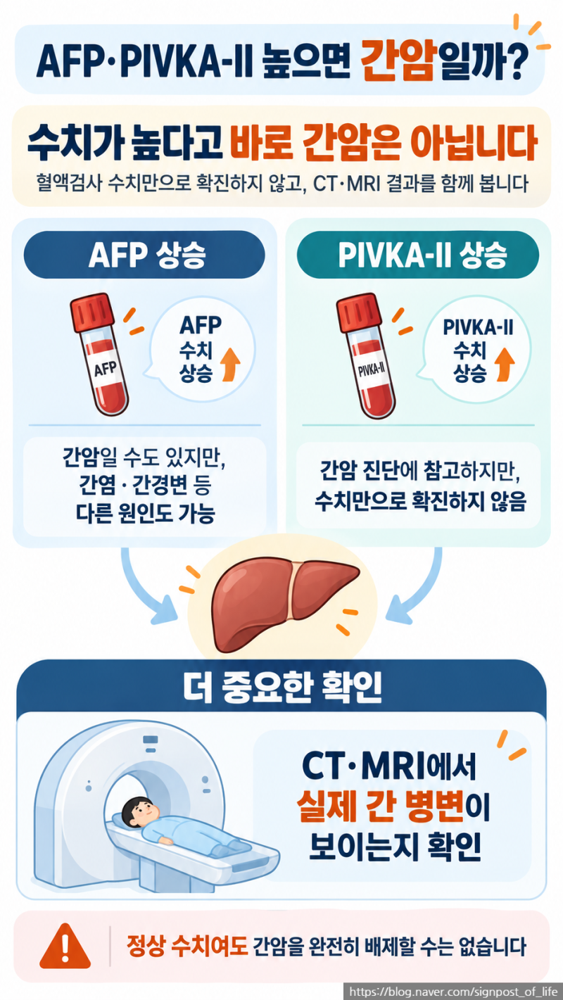 AFP·PIVKA-II 높으면 간암일까? 검사 결과 쉽게 보는 법｜간암 시리즈 2편