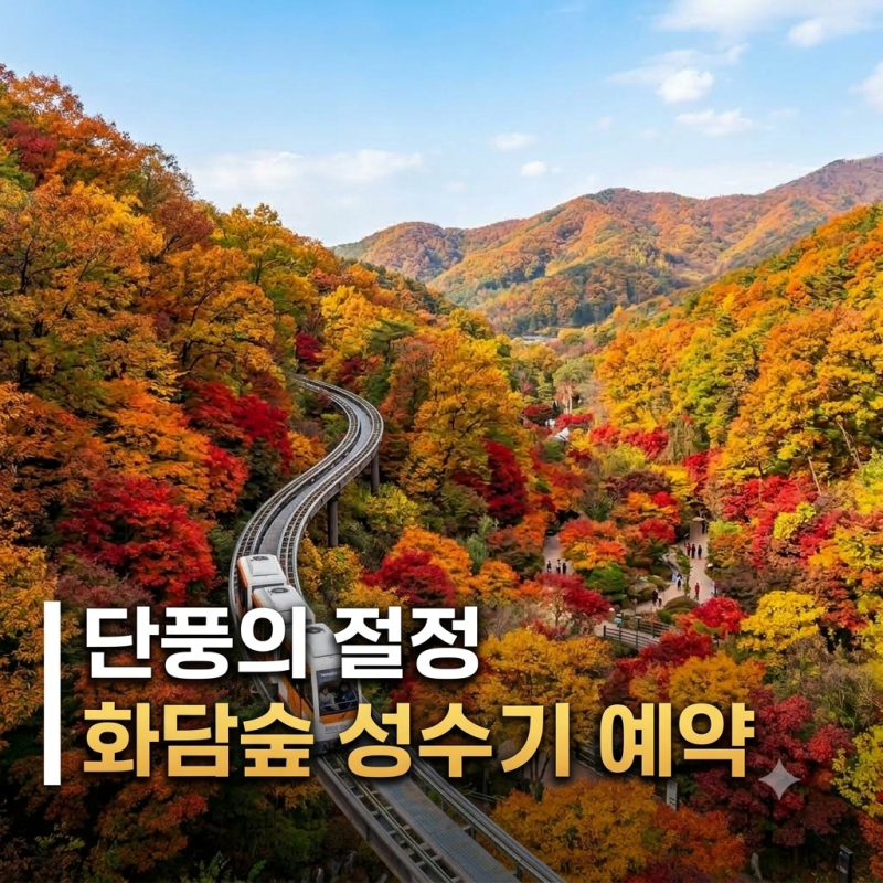 [경기 광주] 화담숲 가을 성수기 예약 가이드 | 단풍 절정 티켓팅 오픈일정 및 필수 주의사항 ....