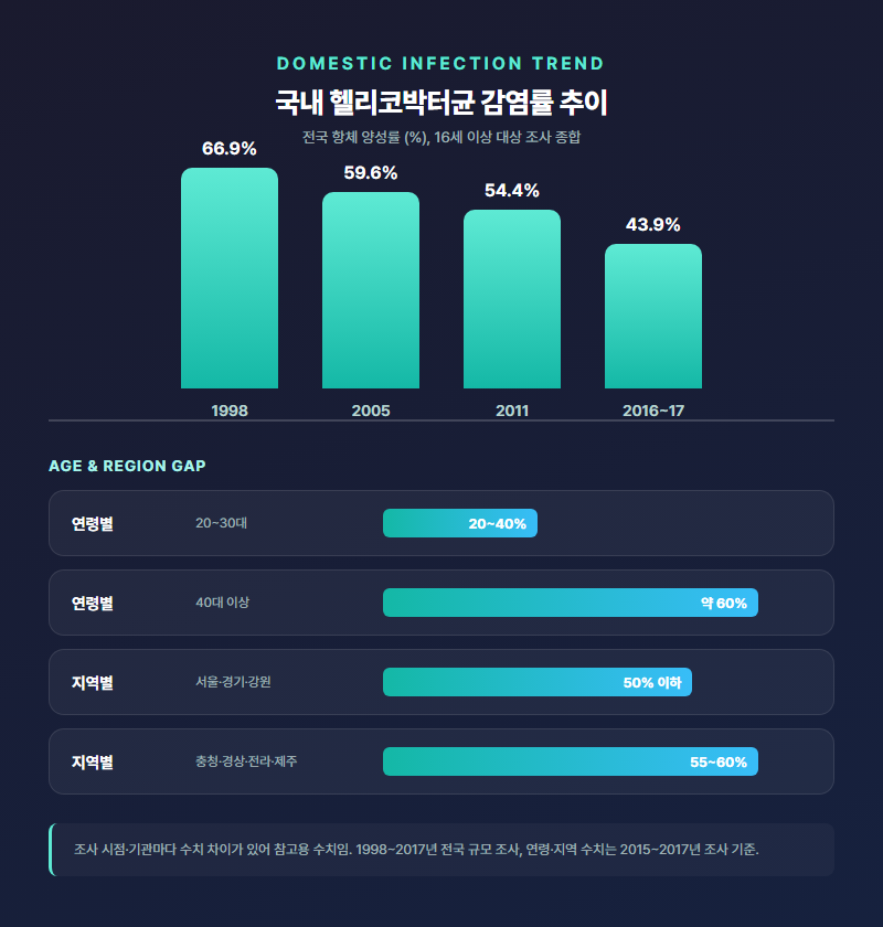 헬리코박터균 증상, 원인부터 치료법까지 제대로