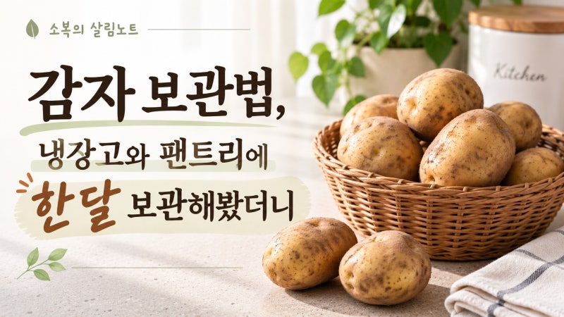 감자 보관법, 냉장고와 팬트리에 한 달 보관해봤더니