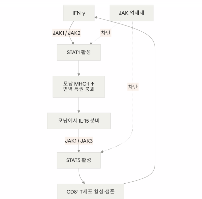 美 중증 원형탈모 첫 지침, 먹는 JAK 억제제 1차 치료 권고