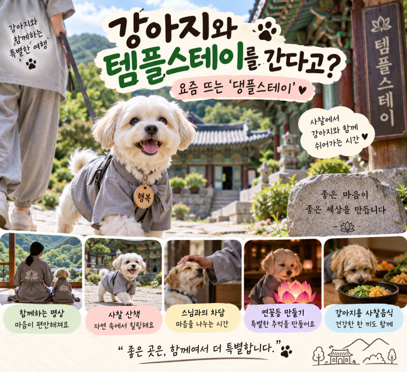 강아지와 템플스테이를 간다고? 요즘 뜨는 ‘댕플스테이