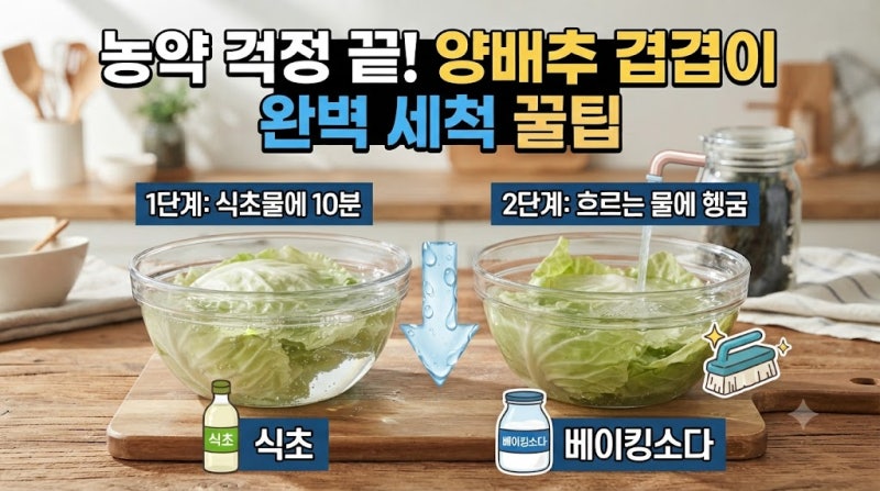 농약 걱정 끝, 양배추 겹겹이 완벽 세척 꿀팁