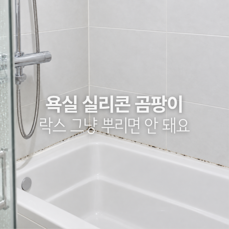 욕실 실리콘 곰팡이 제거, 락스 그냥 뿌리면 안 되는 이유
