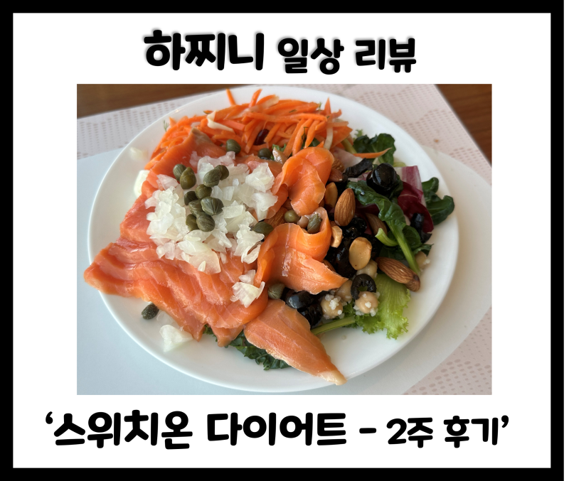 박용우 스위치온 다이어트 2주 차 후기 (만족도 높은 다이어트)