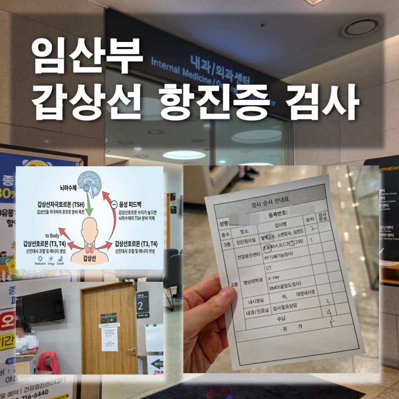 임신 13주 임산부 갑상선 항진증 청라여성병원 내과 진료 및 검사 후기