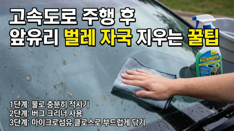 고속도로 주행 후 자동차 앞유리 벌레 자국 지우는 꿀팁