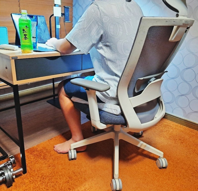 수험생 공부 방석 추천 "똥꼬샵 천연 라텍스 방석"