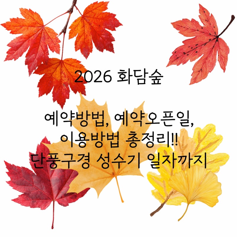 2026 화담숲 예약 방법 총정리 단풍 예매 오픈일, 모노레일, 취소표 꿀팁