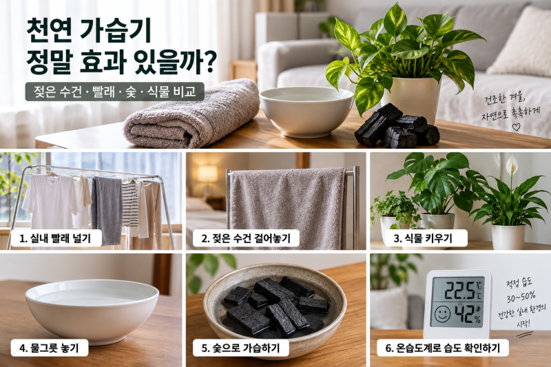 천연 가습기 정말 효과 있을까? 젖은 수건·빨래·숯·식물 비교