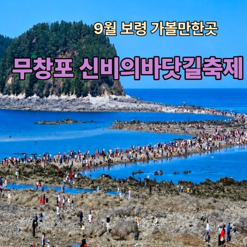 무창포 신비의바닷길축제 보령 가볼만한 곳 여행코스 추천