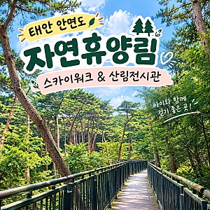 태안 안면도 자연휴양림 : 아이와 걷기 좋은 스카이워크 & 시원한 산림전시관 (주차, 입장료, ....