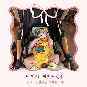 [육아 용품] 다이치 에어포켓4 리버서블 영유아 통풍 쿨시트 유모차 양면 카시트 라이너 - 내....