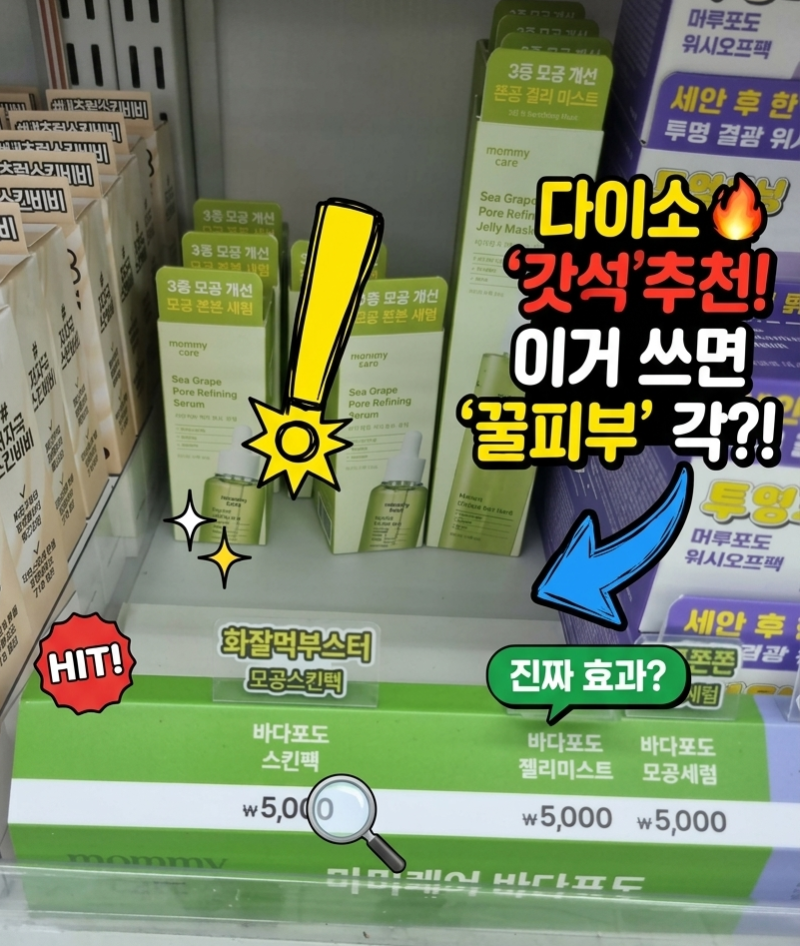 다이소에선 5천원 판매에 아직도 품절되는 "바다포도" 진짜 한물갔나?
