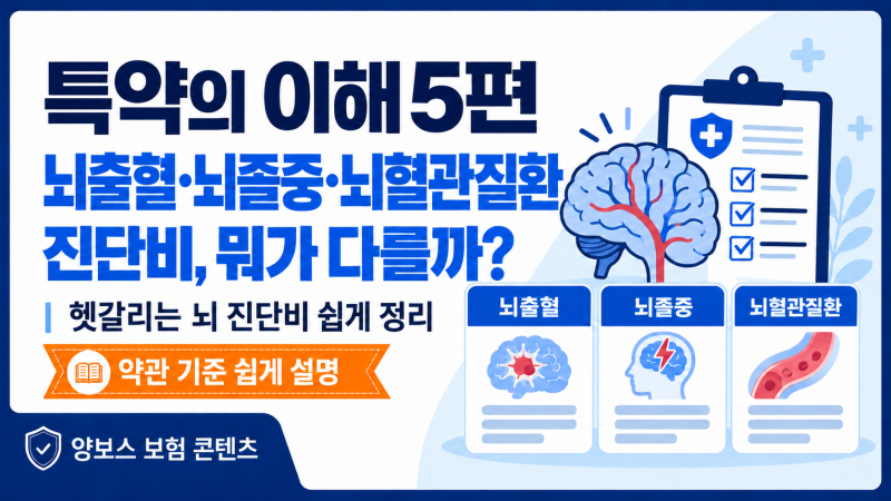 특약의 이해 5편｜뇌출혈·뇌졸중·뇌혈관질환 진단비, 뭐가 다를까?