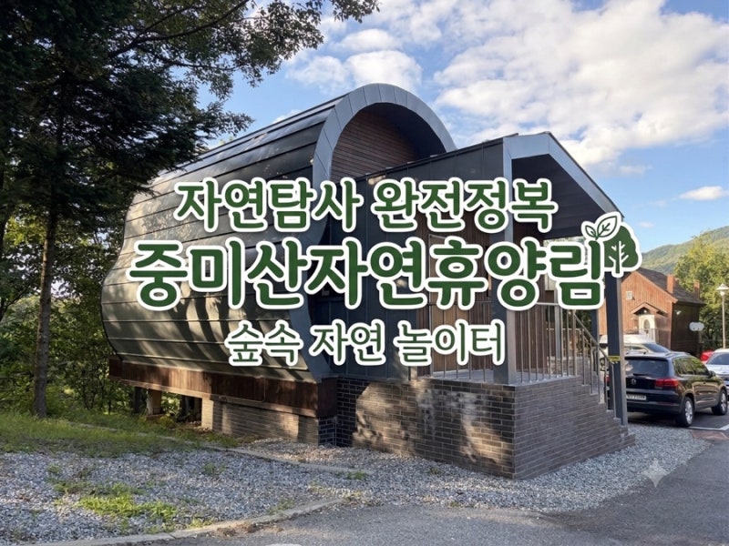 양평 중미산자연휴양림 숲속의집 초2아이와 함께한 숲캉스 자연탐사완료